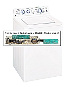 Electronic controlled clothes washer